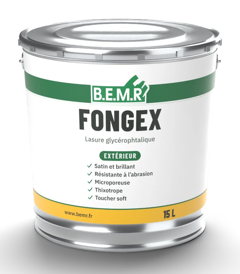 Seau métal 15 L de Fongex BEMR